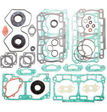 SM-09507F SPI Полный Комплект Прокладок И Сальников Для Ski Doo 800 ETEC 2013-2017 420893500, 420892474, 420892473