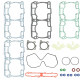 SM-09537T SPI Комплект Прокладок Двигателя Rotax 850 Для Ski Doo 420894260