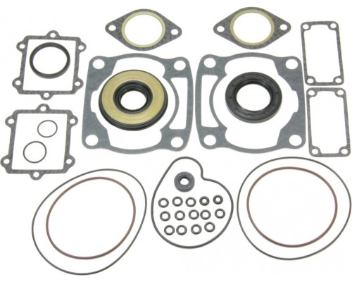 Комплект прокладок с сальниками Sledex для Arctic Cat 500LC