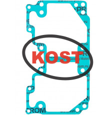 sn-000051 Kost Gasket Прокладка Поддона Картера Для Ski Doo 800 420430070