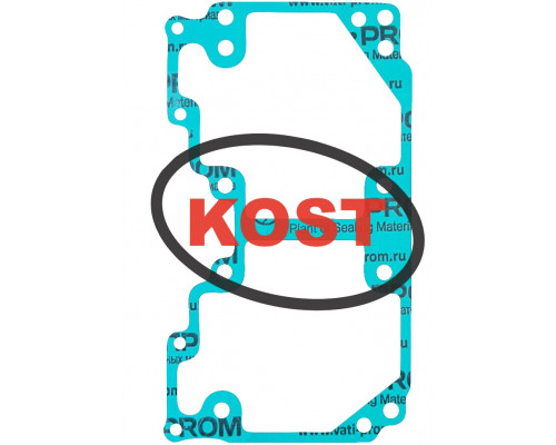 sn-000051 Kost Gasket Прокладка Поддона Картера Для Ski Doo 800 420430070