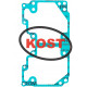 sn-000051 Kost Gasket Прокладка Поддона Картера Для Ski Doo 800 420430070