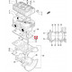 3006-001 Прокладка Под Блок Цилиндров Arctic Cat 570