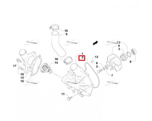 3007-541 Прокладка Помпы Для Arctic Cat