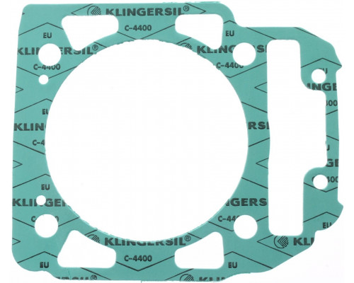 420630212 Прокладка Цилиндра Для BRP Can Am