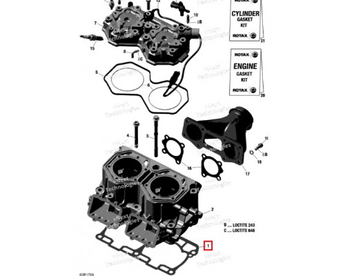 420831020 Прокладка Блока Цилиндров Для Ski Doo Gen4