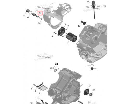 420939485 Пружина Редукционного Клапана Давления Масла Для BRP Can Am