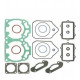 09-710303 SPI Комплект Прокладок Двигателя Rotax 600 E-TEC Для Ski Doo 420889928