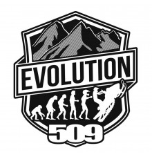 Комплект наклеек 509 Evolution 4 (10 шт)