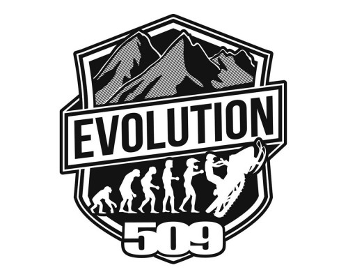 Комплект наклеек 509 Evolution 4 (10 шт)