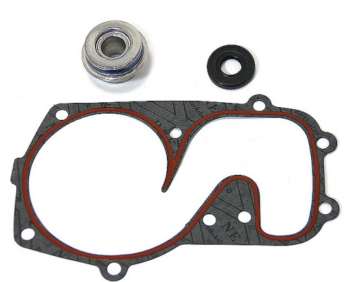 10-721310 SPI Ремкомплект Помпы Для Polaris 5411197, 3610067, 5811601, 5811432