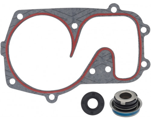 10-721310 SPI Ремкомплект Помпы Для Polaris 5411197, 3610067, 5811601, 5811432