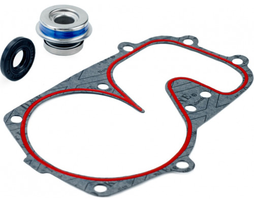 10-721310 SPI Ремкомплект Помпы Для Polaris 5411197, 3610067, 5811601, 5811432