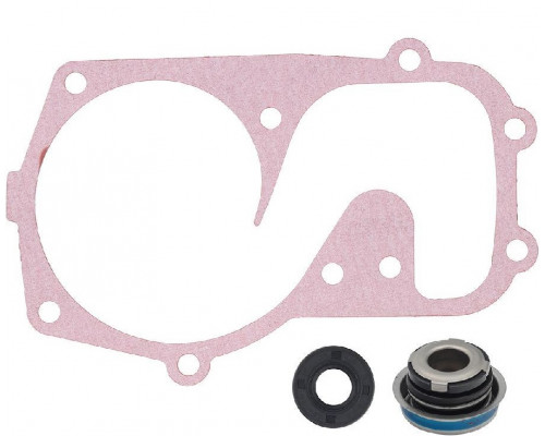 10-721310 SPI Ремкомплект Помпы Для Polaris 5411197, 3610067, 5811601, 5811432