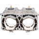 3022828 Блок Цилиндров Для Polaris AXYS 800