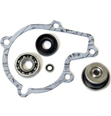 AT-10083 SPI Ремкомплект Помпы Для Polaris SPORTSMAN 550