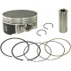 NA-50011-2 Namura Поршень +0,5 мм Для Polaris 3090175, 3090177