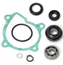 AT-10050 SPI Ремкомплект Помпы Для Yamaha 660