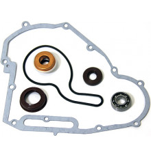 AT-10086 SPI Ремкомплект Помпы Для Polaris 800