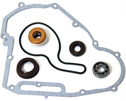AT-10086 SPI Ремкомплект Помпы Для Polaris 800