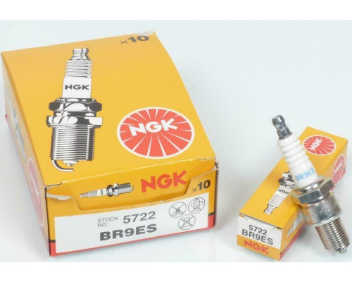 219703120 Свеча Зажигания NGK 5722 BR9ES Для Ski Doo 414961100, Polaris 3070163