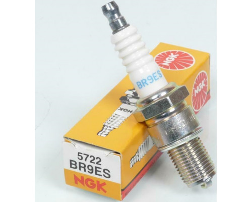 219703120 Свеча Зажигания NGK 5722 BR9ES Для Ski Doo 414961100, Polaris 3070163
