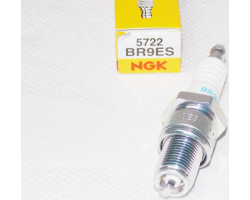 219703120 Свеча Зажигания NGK 5722 BR9ES Для Ski Doo 414961100, Polaris 3070163