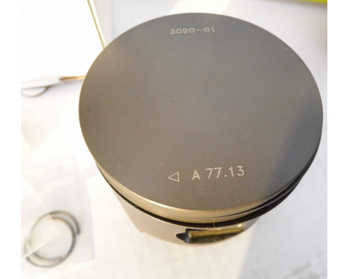2204122 Поршень Для Polaris 2203899