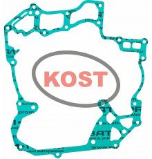 sn-000017 Kost Gasket Прокладка Двигателя Для Ski Doo 420950590