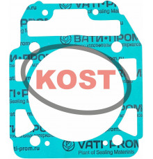 sn-000110 Kost Gasket Прокладка Цилиндра Для РМ 21040408901, 0120421