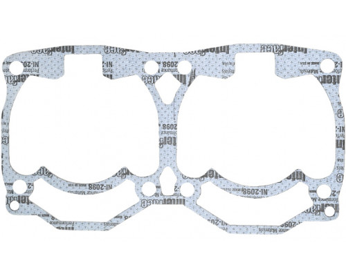09-710289 SPI Комплект Прокладок Двигателя Для Ski Doo 1000 SDI 420891135, 420891136