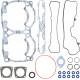 09-710289 SPI Комплект Прокладок Двигателя Для Ski Doo 1000 SDI 420891135, 420891136