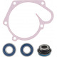 10-721230 SPI Ремкомплект Помпы Для Polaris 5811627, 3610067, 3514311