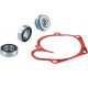 10-721230 SPI Ремкомплект Помпы Для Polaris 5811627, 3610067, 3514311