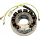 SU-01374 SPI Статор Генератора Для Ski Doo 420886605