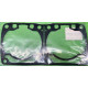 3007-874 Прокладка Цилиндров Для Arctic Cat M800