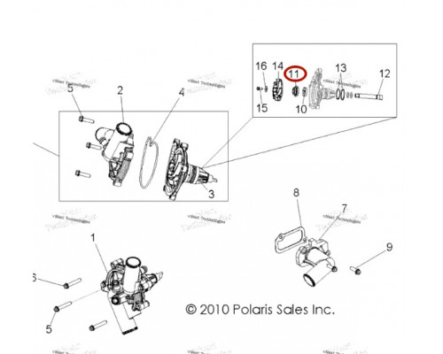 3610164 Сальник помпы на антифриз RZR 900/1000 3610164