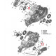 420230137 Сальник КПП Для BRP Can Am