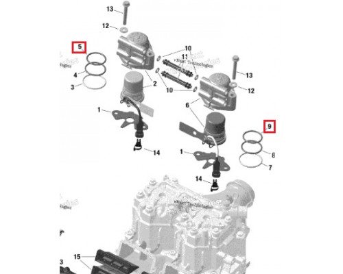 415129499 Кольцо Топливной Форсунки Для Ski Doo 420431550