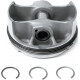 2204637 Поршень В Сборе Для Polaris RZR 900 2204508