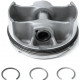 2204637 Поршень В Сборе Для Polaris RZR 900 2204508