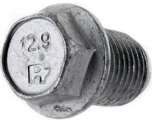 250001039 Болт Для BRP Can Am 250000359
