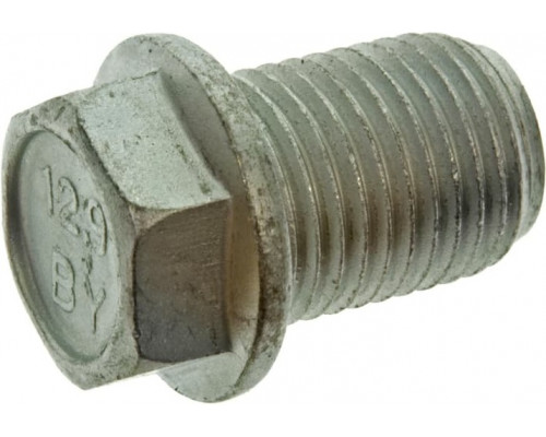 250001039 Болт Для BRP Can Am 250000359