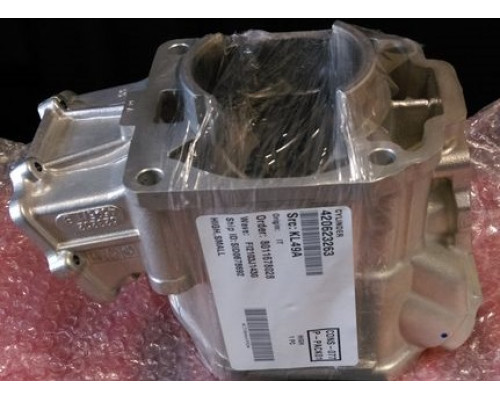 420623263 Цилиндр Двигателя Для Ski Doo 600 ETEC 420623262