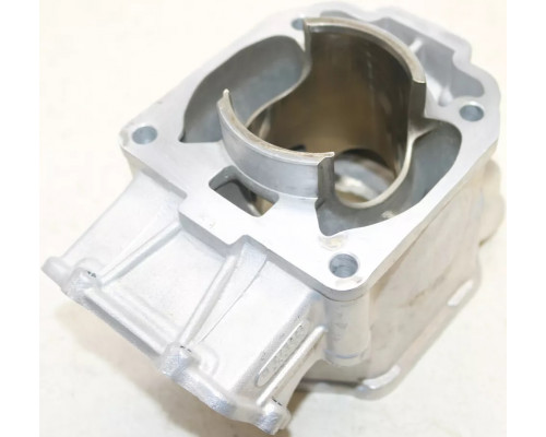 420623263 Цилиндр Двигателя Для Ski Doo 600 ETEC 420623262
