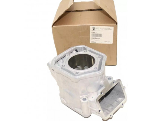 420623263 Цилиндр Двигателя Для Ski Doo 600 ETEC 420623262