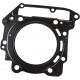 420650210 Прокладка ГБЦ Для BRP Can Am DS 450, Spyder