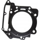420650210 Прокладка ГБЦ Для BRP Can Am DS 450, Spyder