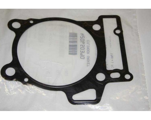 420650390 Прокладка Цилиндра Для BRP Can Am DS 450, Spyder