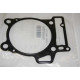 420650390 Прокладка Цилиндра Для BRP Can Am DS 450, Spyder